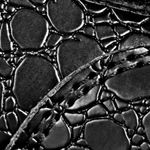 negro_textura