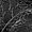 Textura
