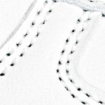 Textura