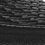 Textura
