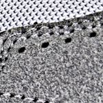 Textura