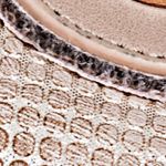 Textura