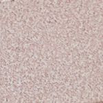 Textura