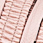 Textura