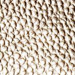 Textura