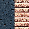 Textura