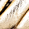 Textura