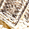 Textura
