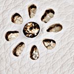 Textura