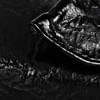 Textura